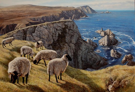 Sheep on Port Hill, Donegal