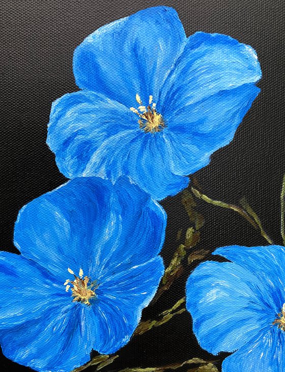 Blue flowers