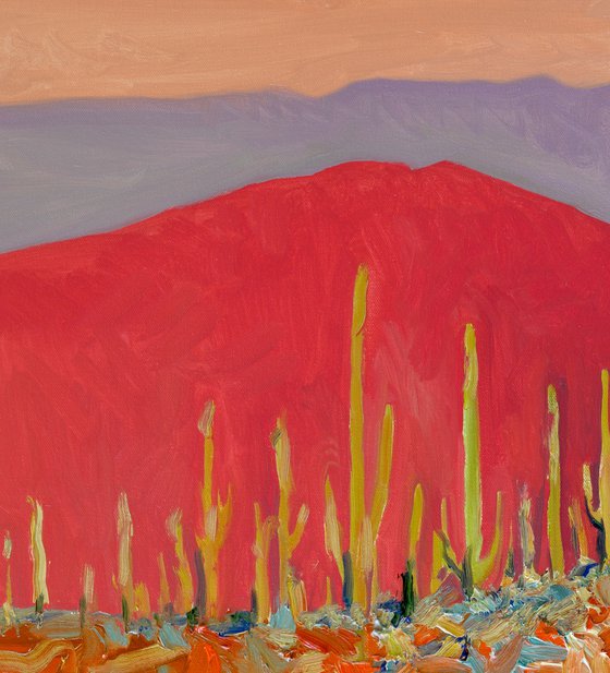 Warm Evening, Saguaros