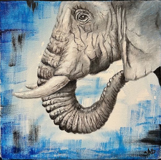 Elephant Blue