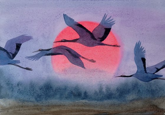 Flock of Japanese Red Crowned Cranes flying at sunrise