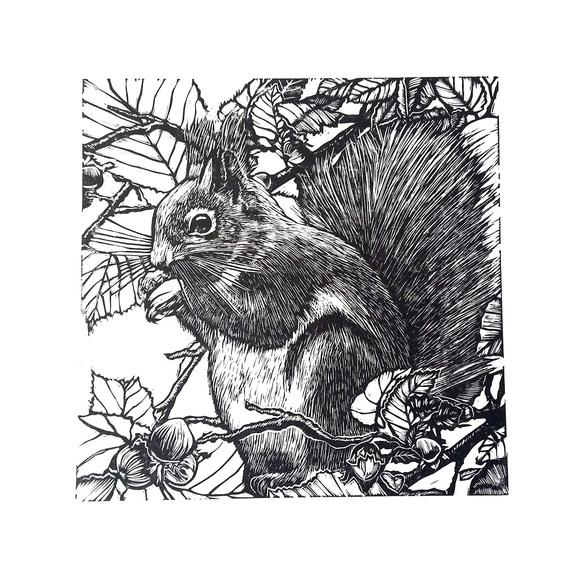 Natures feast (black and white version - linocut red squirrel) by Carolynne Coulson