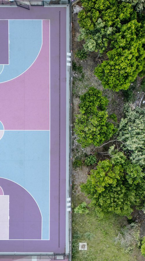 BASKETBALL AND NATURE by Fabio Accorrà