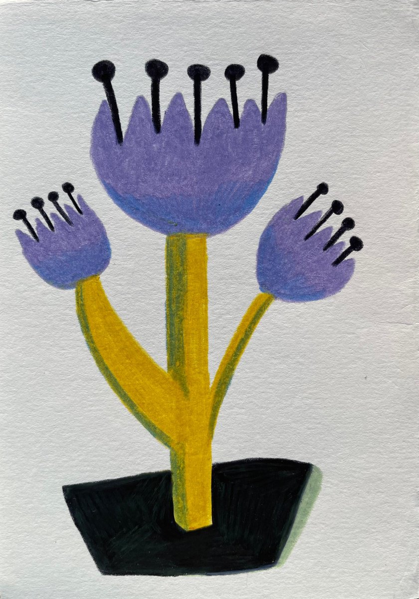 Crocus by Helen Dryden