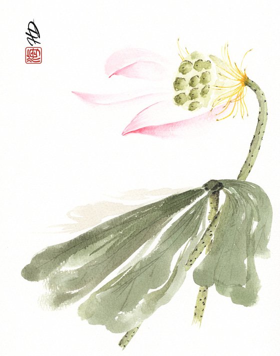 Grace in Passing