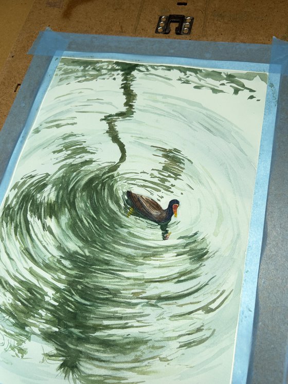 Duck swimming in palm tree reflection