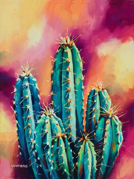 Cactus psychedelia