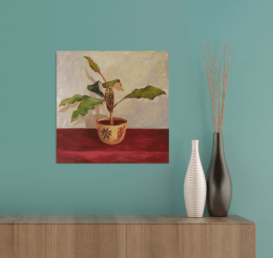 A special Plant