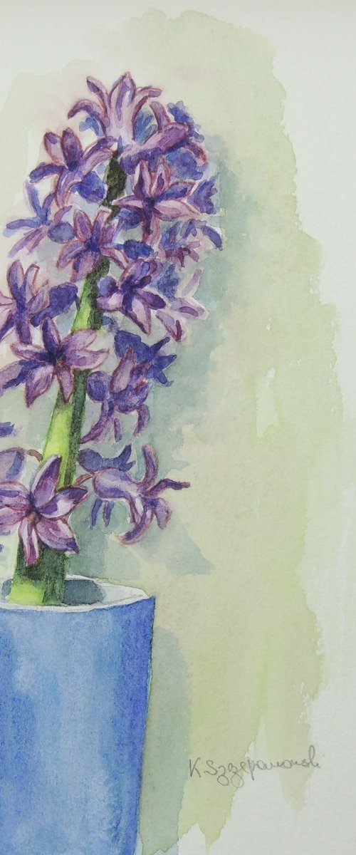 Hyacinths from my garden by Krystyna Szczepanowski