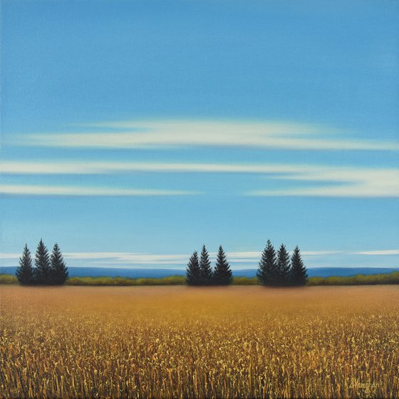Summer Harvest - Blue Sky Landscape