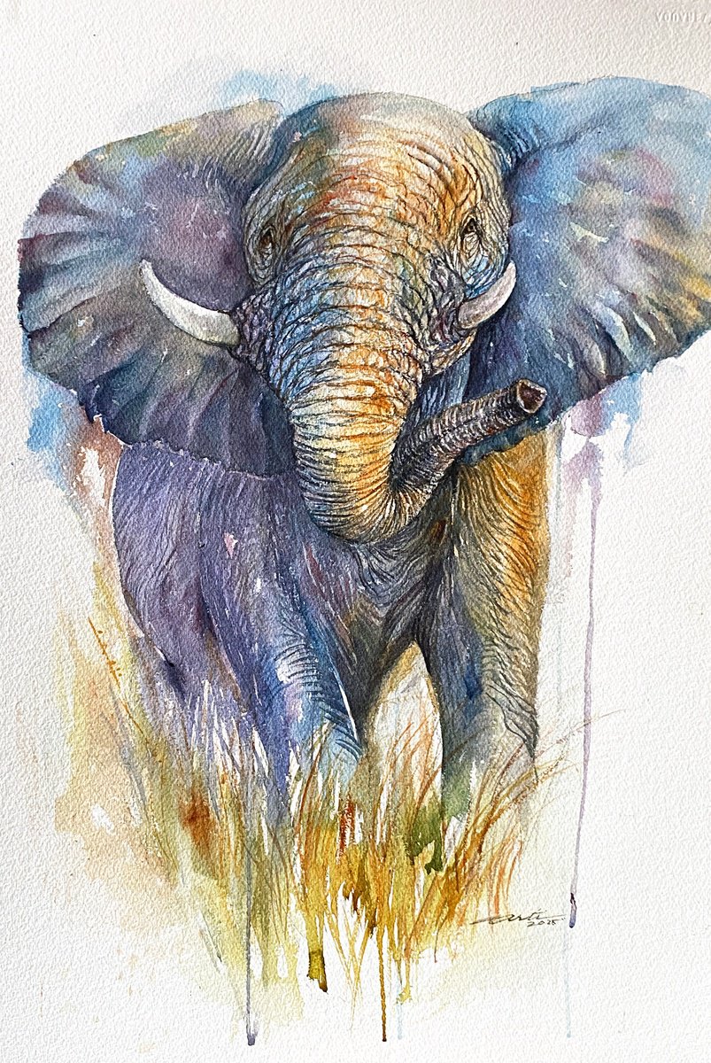 Photorealistic Watercolour , King Of Earth-Elephant By Arti Chauhan, 15 X 22, Artwork For Sale On Artfinder
