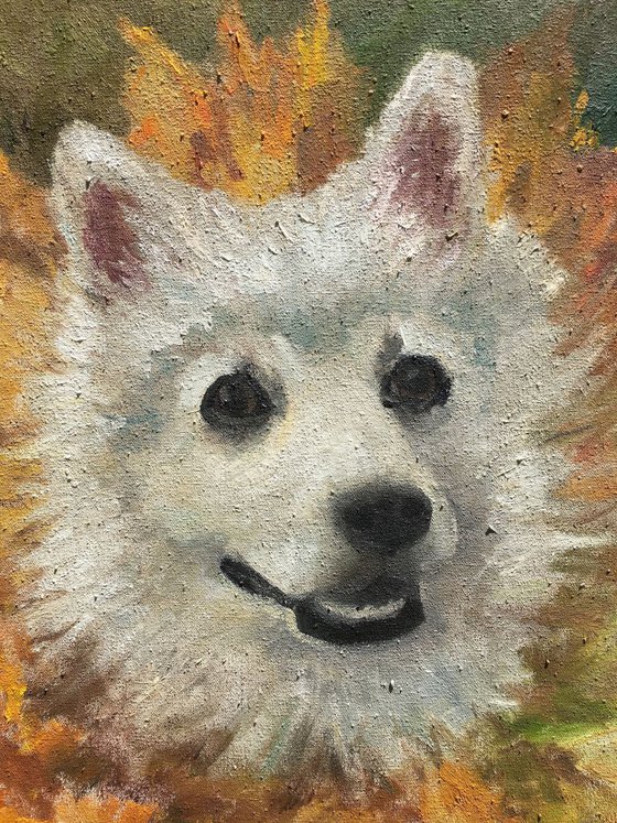 Dog Painting 60x60cm Animals Impressions Portrait