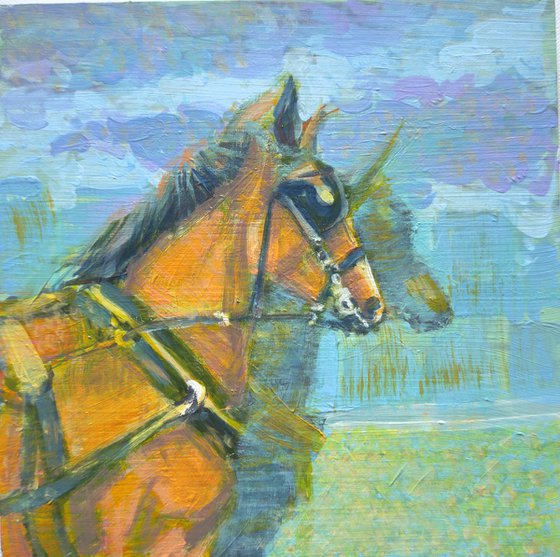 Kings horses