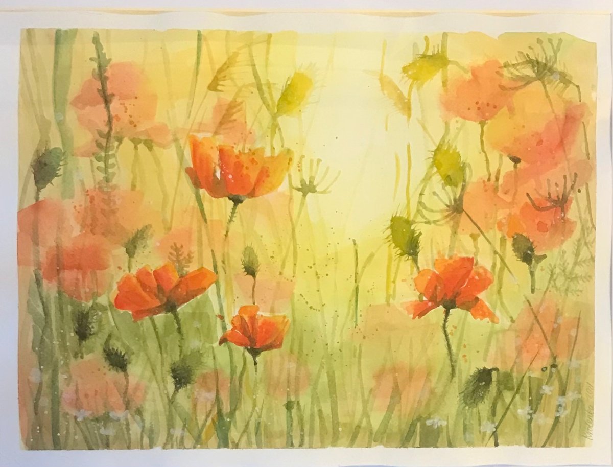 Botanical Watercolour By Alexandra Krasuska, 16 X 12, Poppy Time, Original Artwork