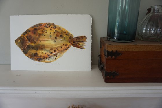 Lemon Sole Fish Watercolour