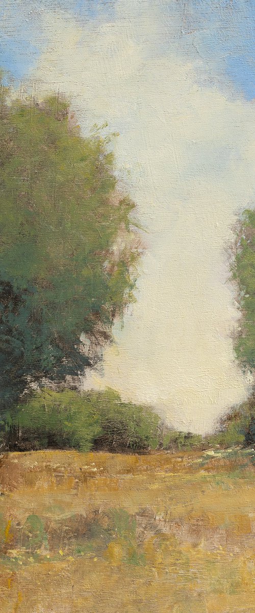 Golden Meadow 240803 by Don Bishop