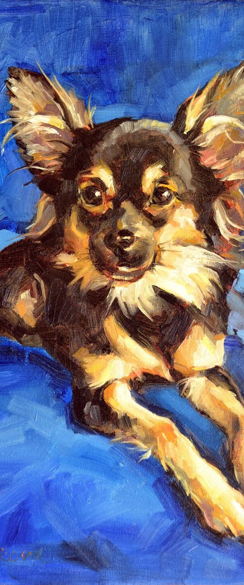 CUSTOM PET PORTRAIT by Irina Ushakova