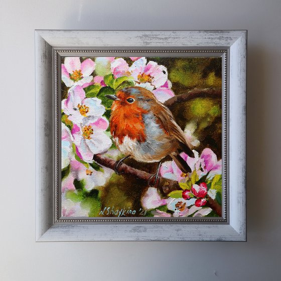 Robin Bird Painting