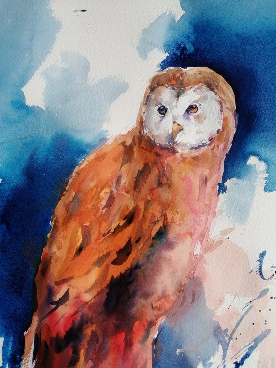 owl 3