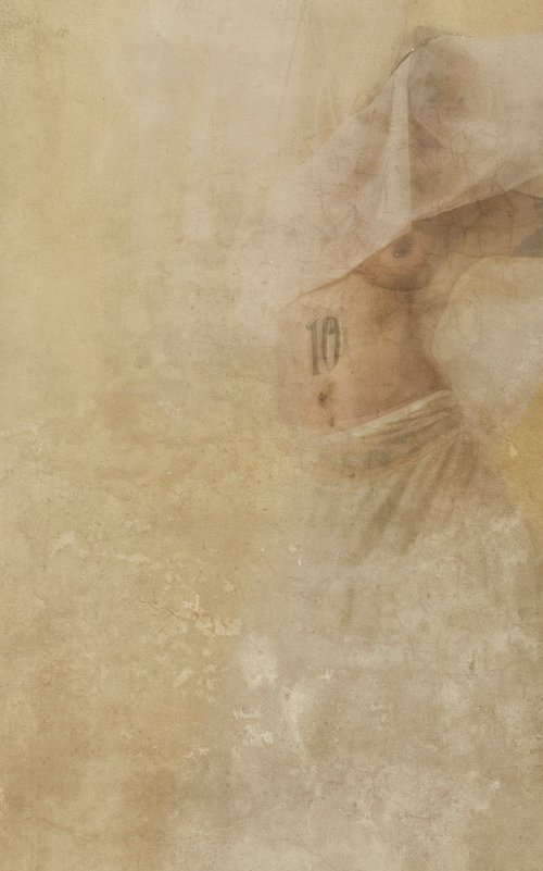 Salome V by Adam Regan