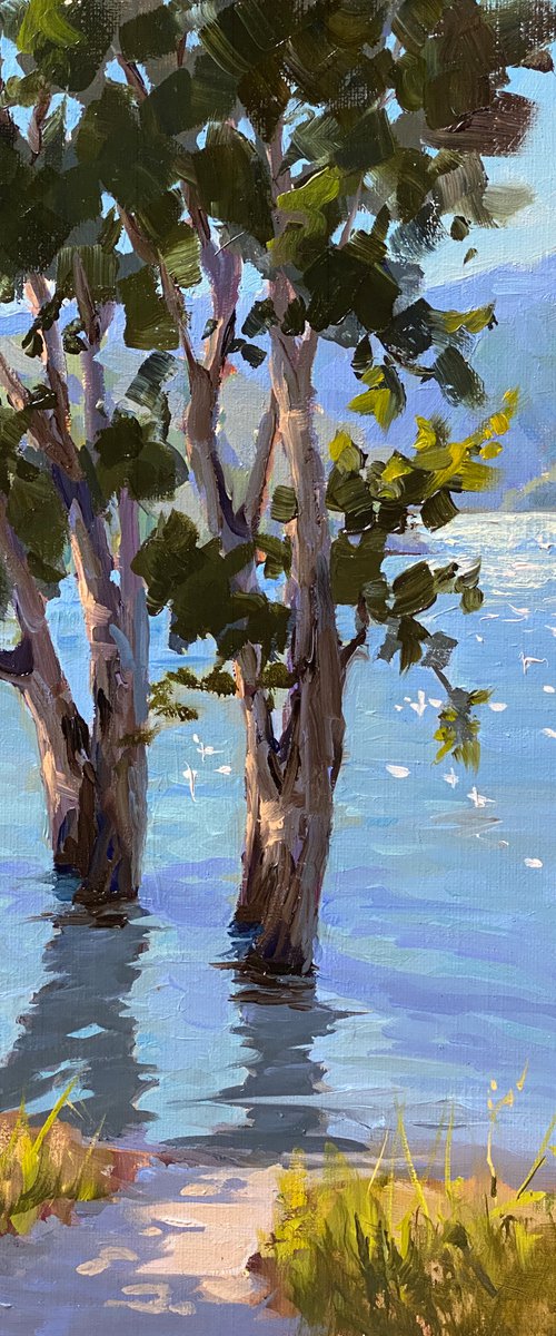 Reflections Plein Air Landscape by Tatyana Fogarty