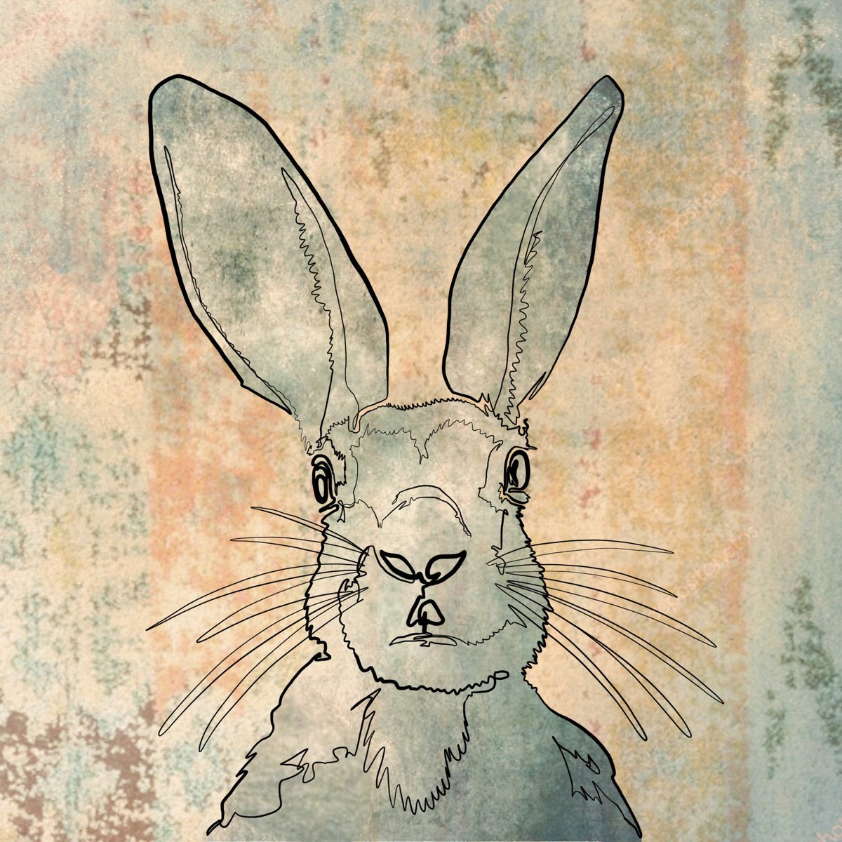 Mrs. Rabbit by siMONA Ledl