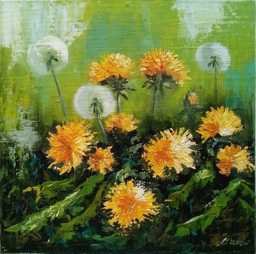 Blooming dandelions by Liubov Samoilova
