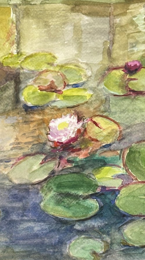 Pink Lilies by Arun Prem