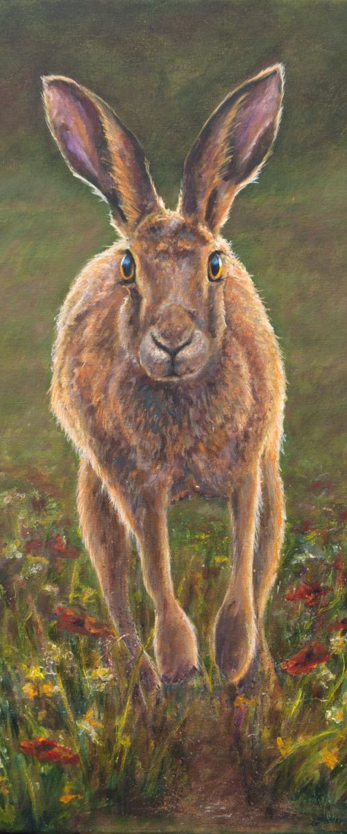 Meadow Hare by Ruth  Aslett