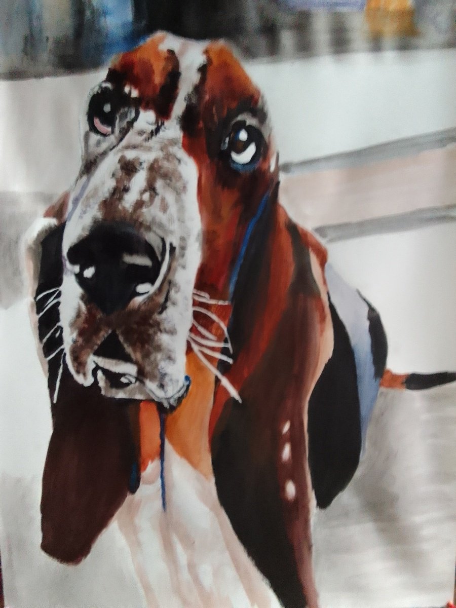 Photorealistic Animal Acrylic Painting By Soso Kumsiashvili, 24 X 33", Bassethound, Original Artwork