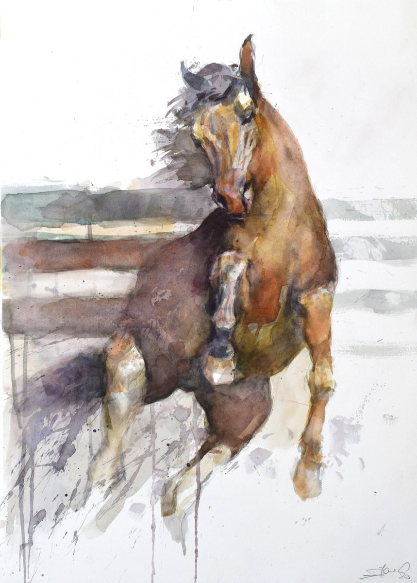 Prancing  horse (70x50) by Goran Zigolic Watercolors