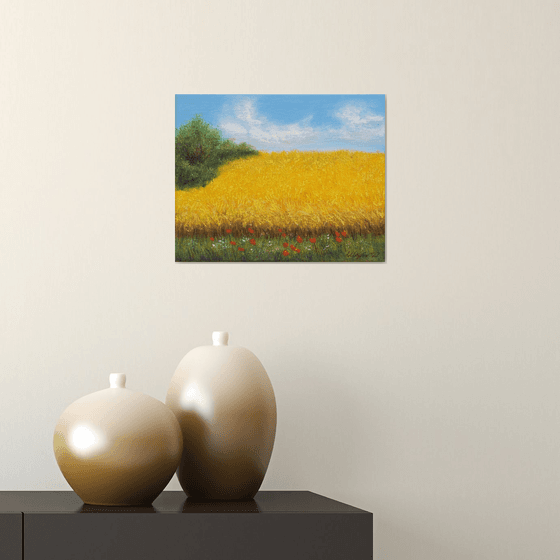 Wheat field  in summer