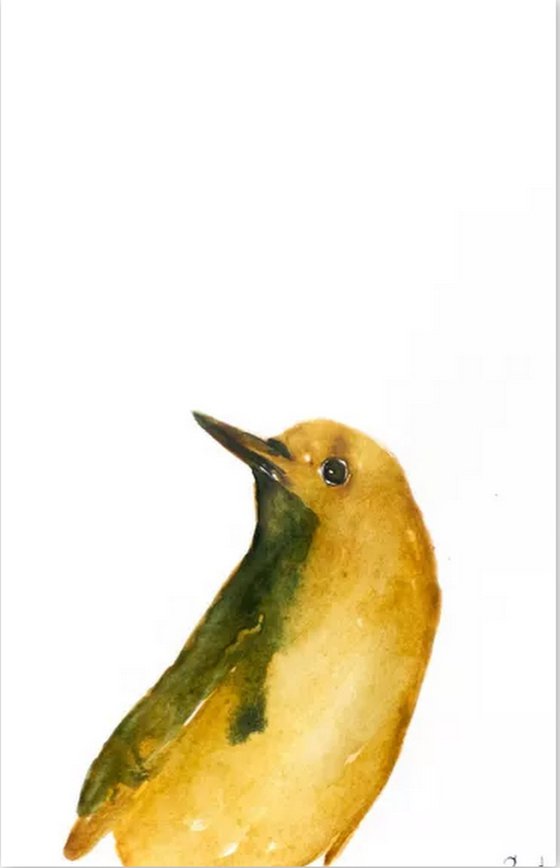 Birds, Set of 6