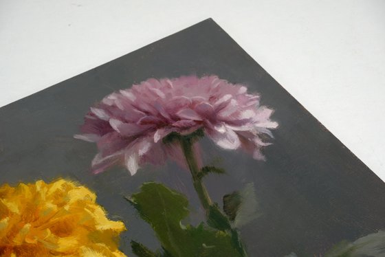 Chrysanthemums