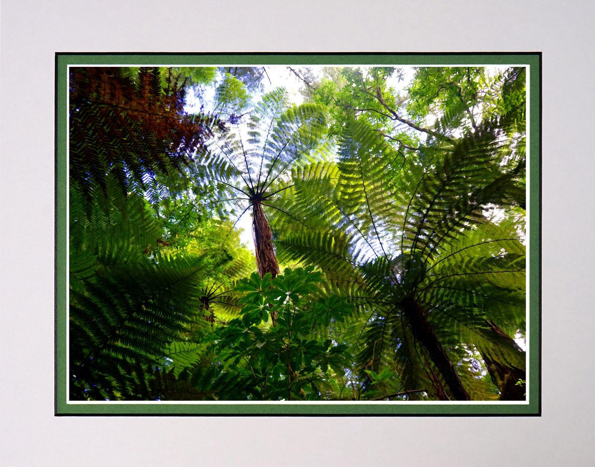Photorealistic Botanical Photograph By Robin Clarke, 14 X 11", In The Rainforest New Zealand, Original Artwork