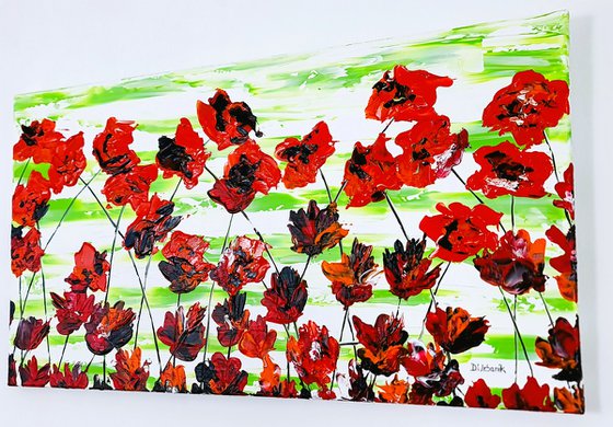 Red Poppies 1