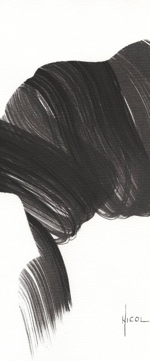 Combed Silence by Nicol Vacaru