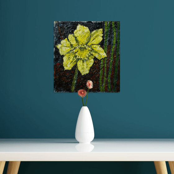 Single daffodil bloom