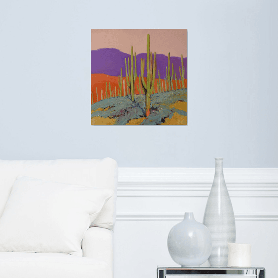 Saguaros. Desert Evening