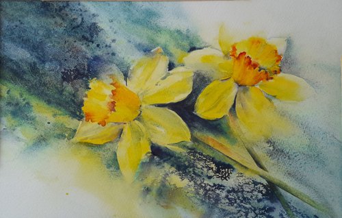 Original Daffodil Watercolour Painting by Anjana Cawdell