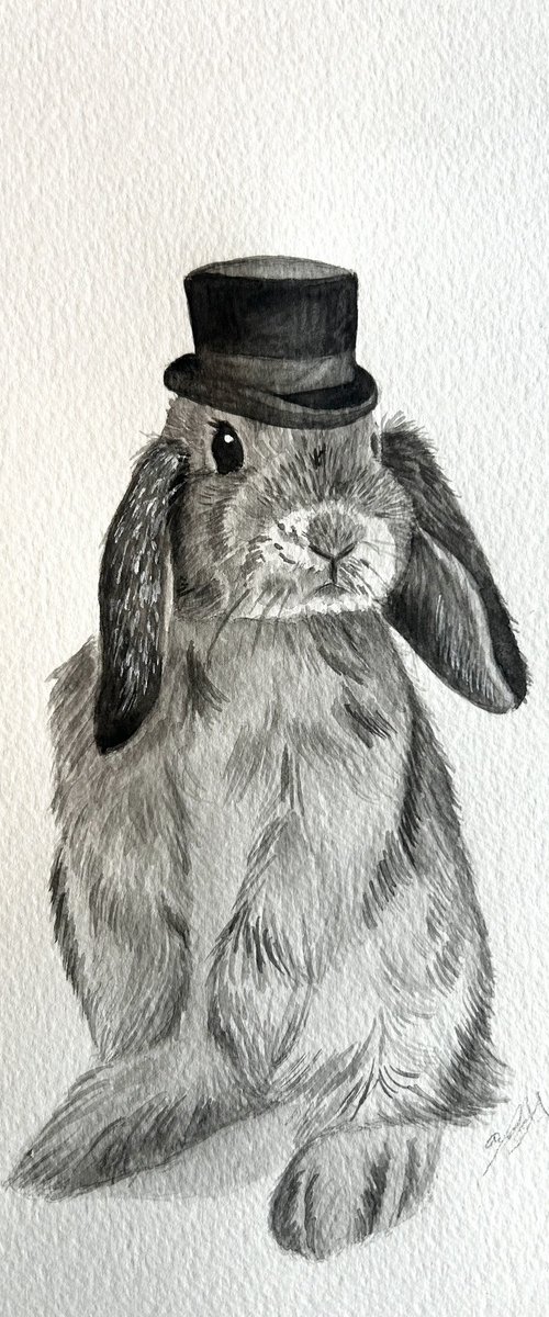 Mr bunny by Amelia Taylor