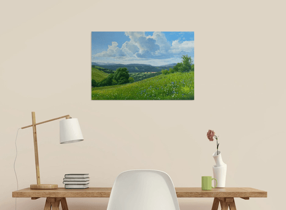 Meadows of early summer