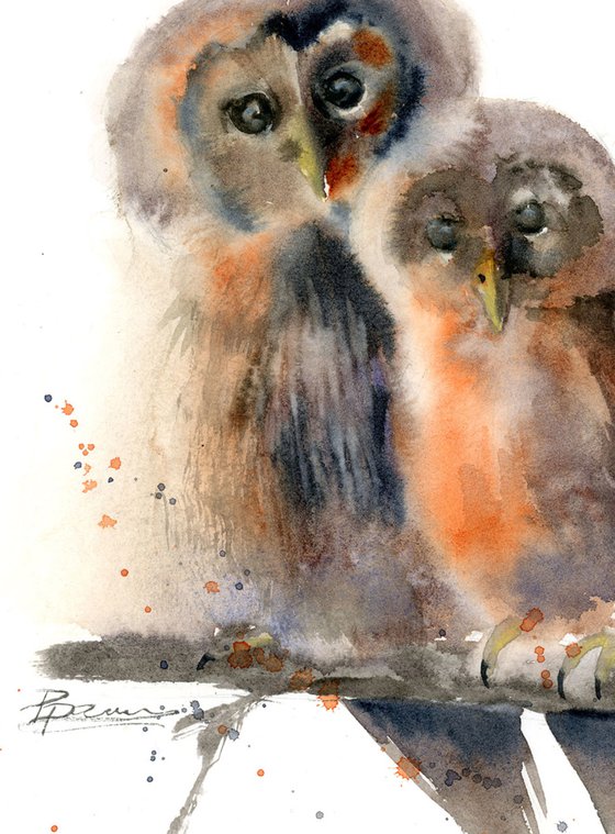 Couple of owl