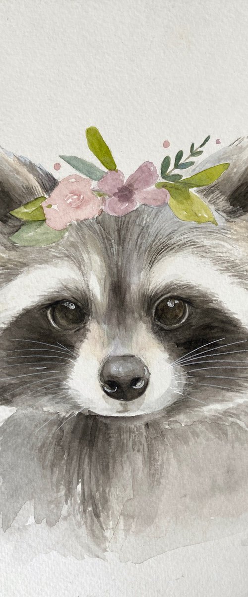 Baby Racoon by Alejandra Paredes
