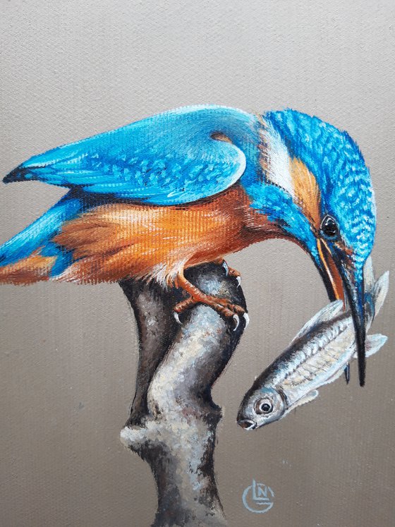 Kingfisher,bird,realistic picture,original artwork