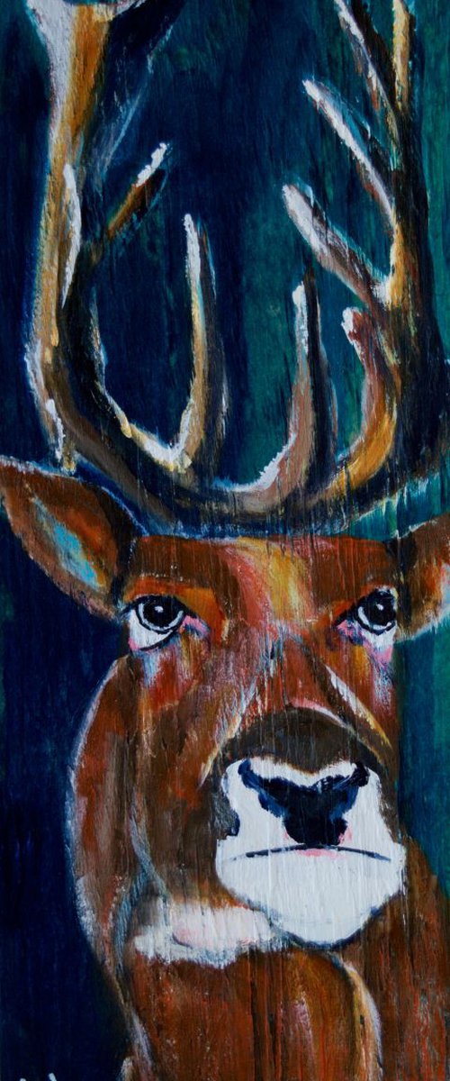 Marvin the Majestic by Lola Jovan