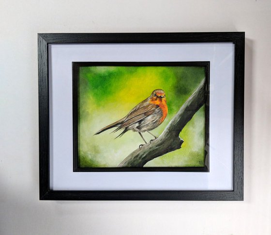 "Robin"   Original Oil Painting Framed