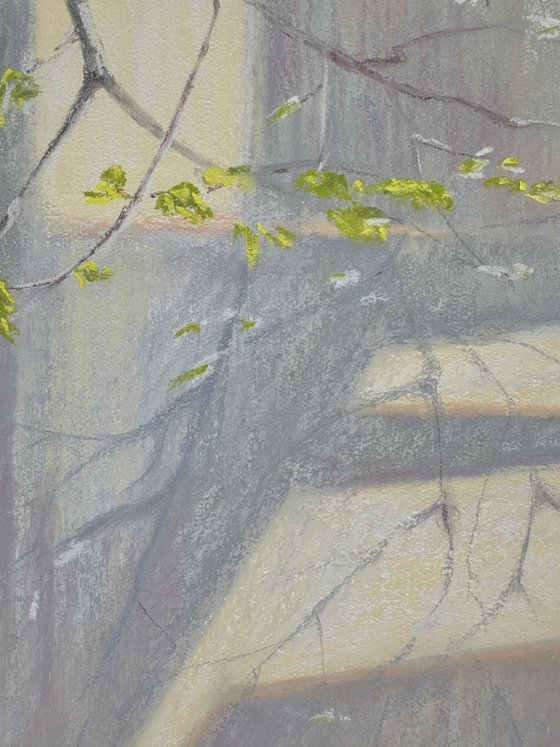 Linden. Overwintered