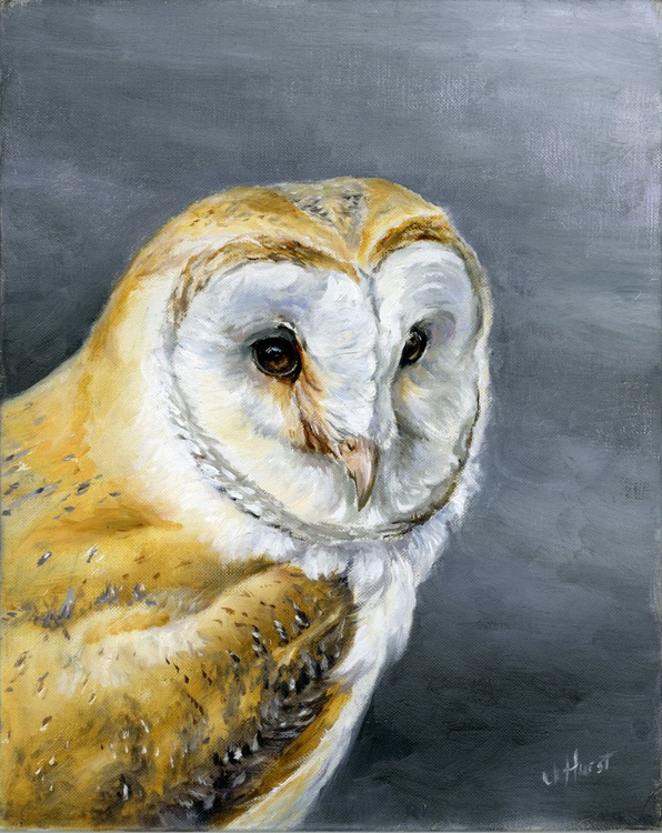 Barn Owl 2017 Oil Painting By Una Hurst Artfinder