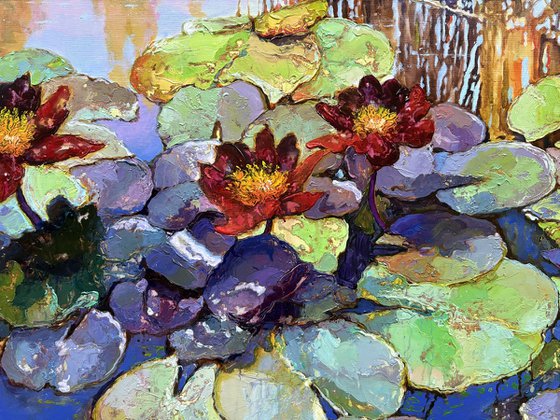 Water Lilies